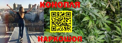 ПСИЛОЦИБИНОВЫЕ ГРИБЫ Новокубанск