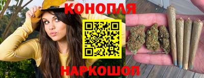 трава Новодвинск