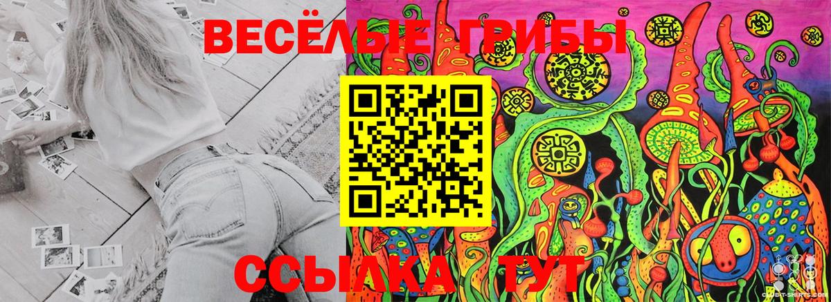 Галлюциногенные грибы GOLDEN TEACHER  где купить наркотик  Дагестанские Огни  Вход с VPN 